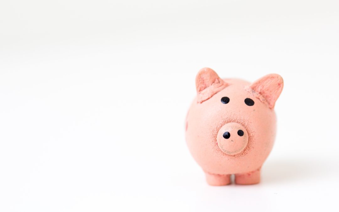 Budget voyage : comment le planifier et le respecter ?